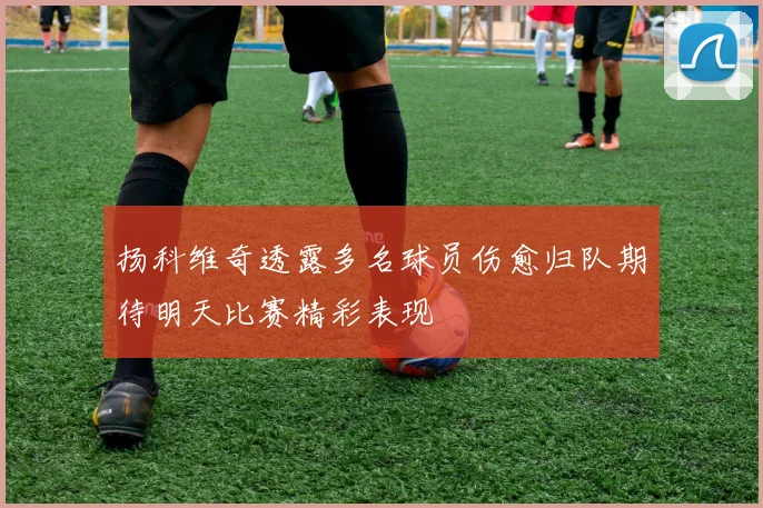 扬科维奇透露多名球员伤愈归队期待明天比赛精彩表现