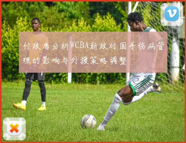 付政浩分析WCBA新政对国手伤病管理的影响与外援策略调整