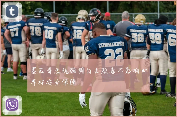 墨西哥总统强调打击贩毒不影响世界杯安全保障