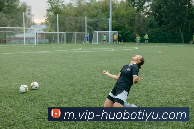 火博体育发展历程